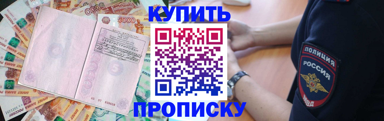 временная регистрация поиск в Звенигово